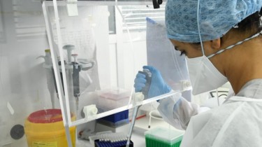 За сутки в Литве зафиксированы 10 новых случаев коронавируса и одна смерть (дополнено)