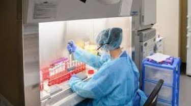 За минувшие сутки подтверждено 20 новых случаев коронавируса, общее число – 2436