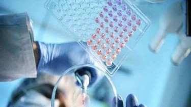 За минувшие сутки установлено 90 новых случаев коронавируса, более трети из них - в Каунасском округе