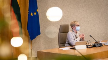 Премьер Литвы: тестирование на коронавирус не отражает реальной ситуации