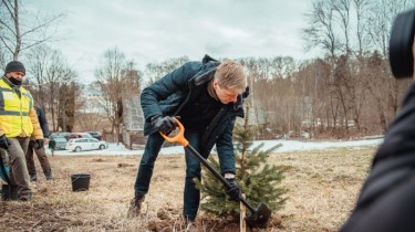 В Вяркяй началась посадка Рождественского леса, это первый такого рода лес в мире
