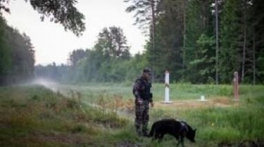 В Швенчёнском и Игналинском районах пограничники задержали 58 нелегальных мигрантов