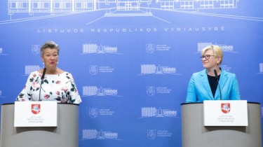 Литва собирается просить помощи по размещению мигрантов в других странах ЕС (дополнено)