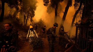 Огонь пожирает леса греческого острова; жителей призывают эвакуироваться