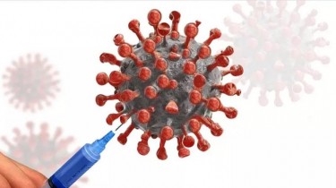 Ученые нашли антитело, защищающее от всех штаммов коронавируса
