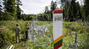 МВД: при монтаже ограждения на границе с Беларусью смертельную травму получил пожарник (дополнено)