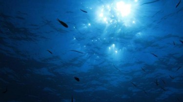 К концу века Мировой океан может стать безжизненным