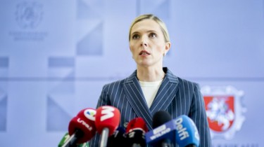 МВД: отклонено более 560 прошений об убежище, Литву покинули 130 мигрантов