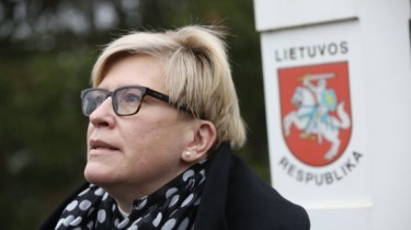 Премьер Литвы: минскому режиму больно от санкций - об этом говорит ситуация на границе