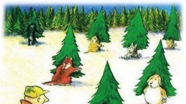 Экологи начинают рейды в лесах для наблюдения за вырубкой елок к Рождеству