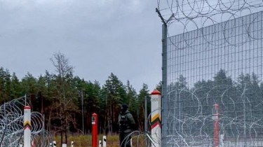 За сутки литовские пограничники не пропустили в страну 13 нелегальных мигрантов