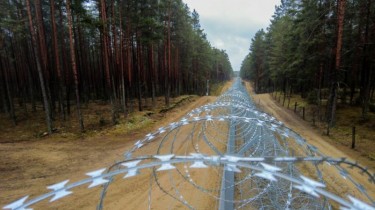 На границе Литвы с Беларусью развернули 15 нелегальных мигрантов