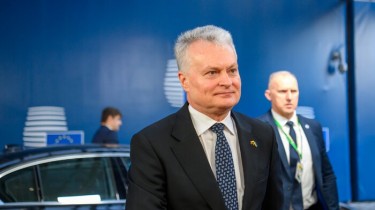 Президент Литвы: в центре внимания сессии Европейского совета – вопросы энергетической независимости, обороны и безопасности