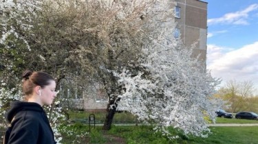 COVID-19 В ЛИТВЕ ЗА СУТКИ: 29 НОВЫХ СЛУЧАЕВ ЗАБОЛЕВАНИЯ, ДВА ЧЕЛОВЕКА СКОНЧАЛИСЬ