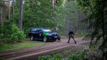 МВД Литвы: сформировался новый путь нелегальных мигрантов - через Москву