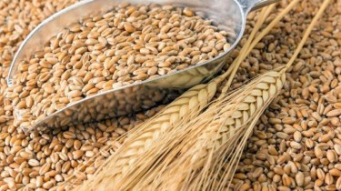 СМИ: США допускают снятие санкций на удобрения Беларуси в обмен на транзит зерна