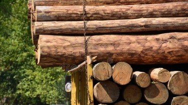 В понедельник из Калининграда в Литву не пропустили груз древесины