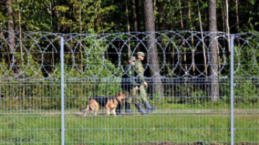 На границе с Беларусью литовские пограничники развернули 21 мигранта