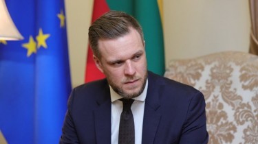 Г. Ландсбергис: я очень хочу, чтобы мы не давали дополнительных козырей врагам Литвы