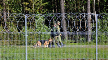 Пограничники не пропустили в Литву через границу с Беларусью 71 нелегального мигранта
