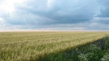 Поля залиты дождем