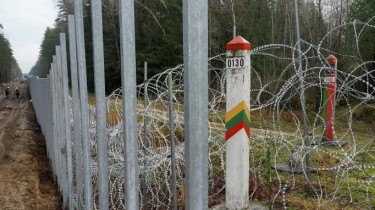 На границе Литвы с Беларусью развернули 87 нелегальных мигрантов