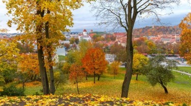 COVID-19 в Литве за сутки: 38 новых случаев заражения, скончались 2 человека