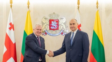Министры обороны Литвы и Грузии осудили российскую агрессию