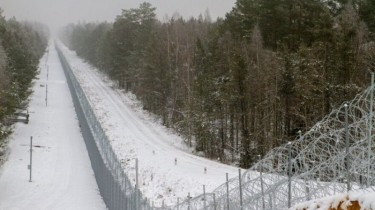 На границе Литвы с Беларусью пограничники развернули 28 нелегальных мигрантов