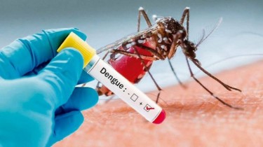 У жителя Вильнюса, вернувшегося из Восточной Африки, обнаружена лихорадка денге