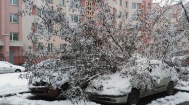 Сильный снегопад в Литве заставил спасателей 108 раз выезжать на аварии