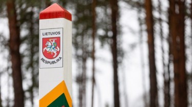 На границе Литвы с Беларусью развернули 9 нелегальных мигрантов