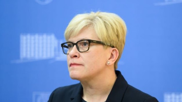 Премьер Литвы - о сложностях процесса контроля доставки подсанкционных российских товаров