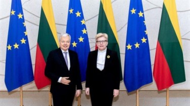 Премьер Литвы: нужны способы использования замороженного имущества РФ для Украины