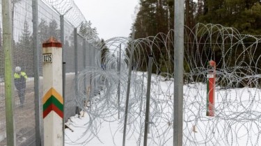 СОГГЛ: На границе Литвы с Беларусью задержали 28 нелегальных мигрантов