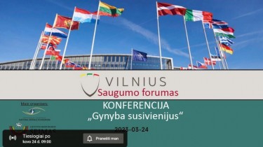 В Сейме Литвы проходит Восьмой Вильнюсский форум по безопасности