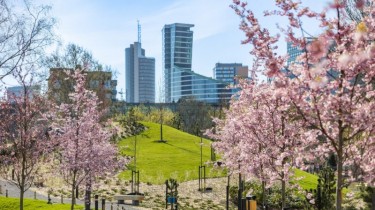 Японский сад - цветущая сакура зовет вас на новое зеленое пространство Вильнюса