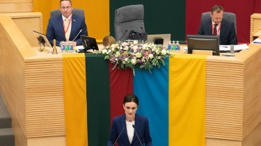Глава Сейма Литвы: лидеры парламентов едины в поддержке членства Украины в НАТО