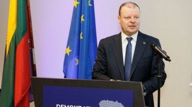 Демократический союз "Во имя Литвы" решил присоединиться к Европейской партии зеленых