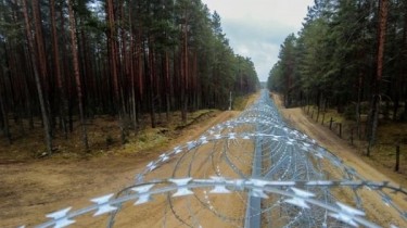 СОГГЛ: на границе Литвы с Беларусью развернули одного нелегального мигранта