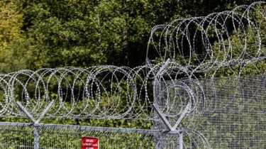 СОГГЛ: на границе Литвы с Беларусью развернули 38 нелегальных мигрантов