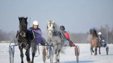 После четырехлетнего перерыва в Сартай пройдут скачки рысаков (дополнено)