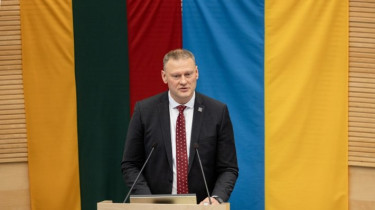 Ремигиюс Бридикис: ужесточение санкций для белорусов может помочь, но проблем не решит