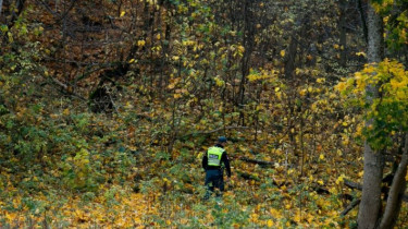 Россиянин, сошедший с транзитного поезда, не найден и после расширения территории поисков