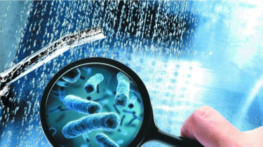 Легионеллез  – «болезнь теплого душа» и путешественников