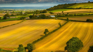 Дарение земли сельскохозяйственного назначения