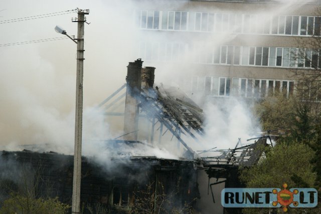 Пожар в Шнипешкес. 10 фото + видео