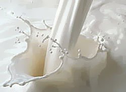 Земледельцы бросают вызов переработчикам молока