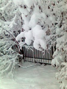 В Литве пойдет снег