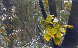 В Литве на выходные слегка похолодает